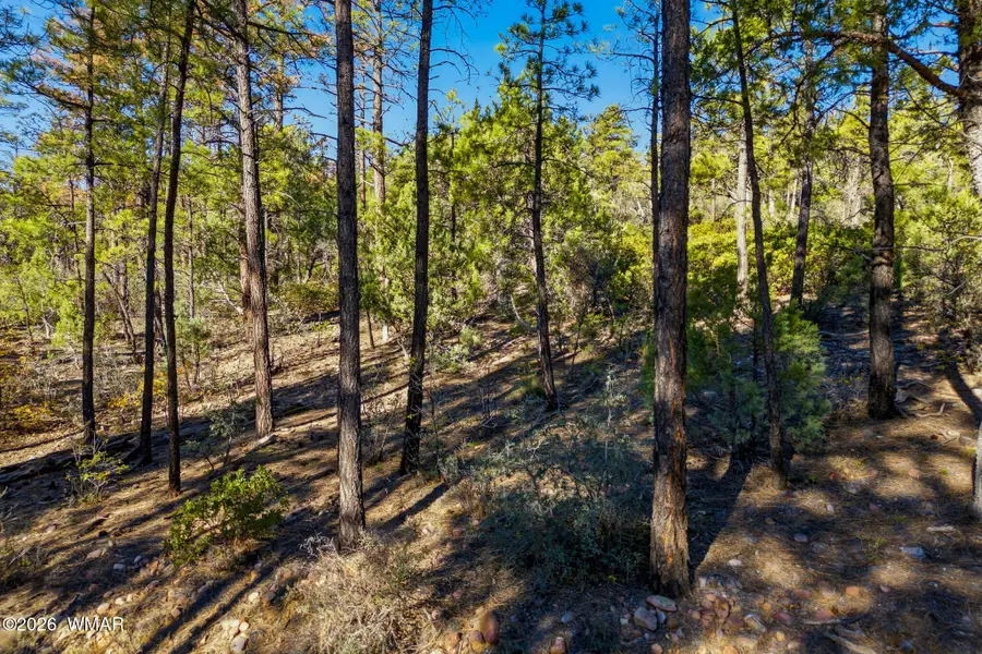 1920 S Pleasantview, Show Low, AZ 85901 - #2