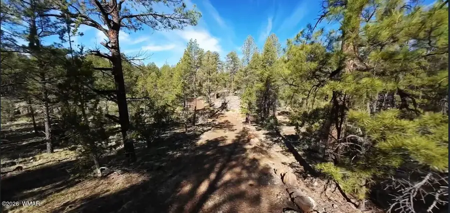 950 Birdsong Way, Lakeside, AZ 85929 - #2