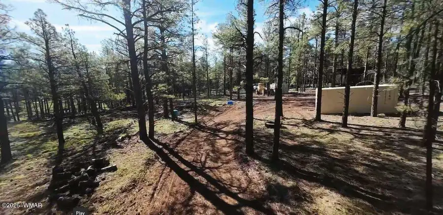950 Birdsong Way, Lakeside, AZ 85929 - #3