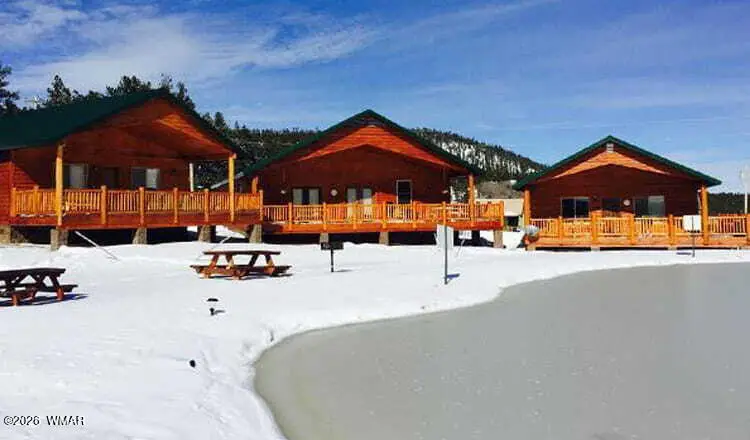 Cabin 283 Main Street, Greer, AZ 85927 - #3