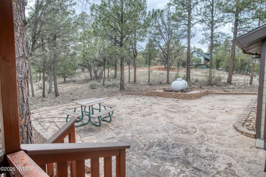 2881 Lodgepole, Overgaard, AZ 85933 - #3