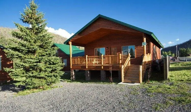 Cabin 285 Main Street, Greer, AZ 85927 - #1