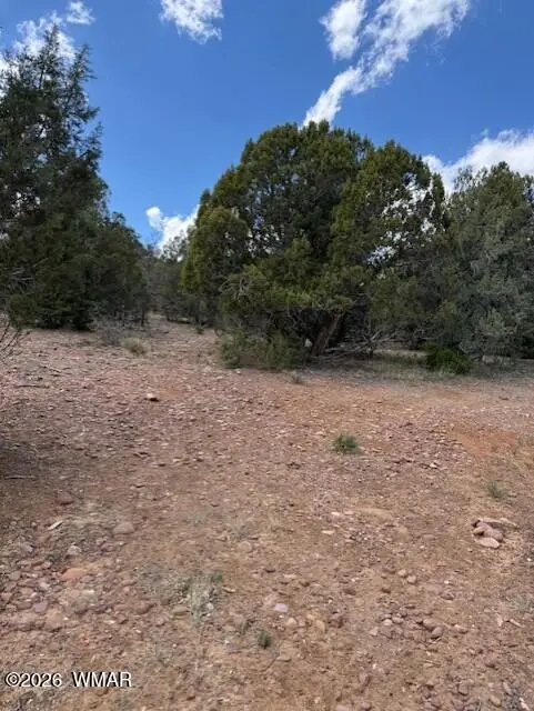 580 Angelas Place, Show Low, AZ 85901 - #3