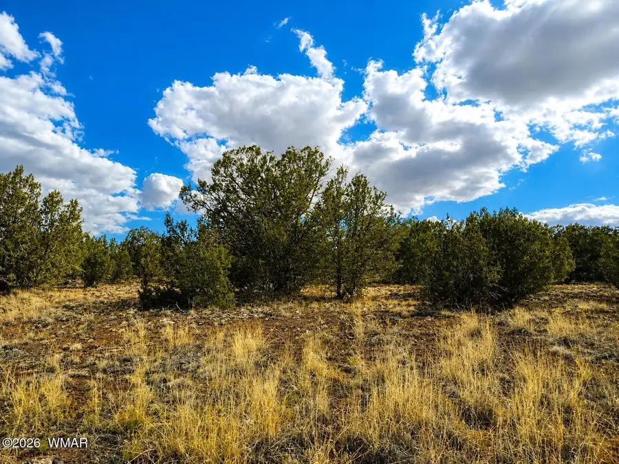 8595 Bobcat Drive, Show Low, AZ 85901 - #2