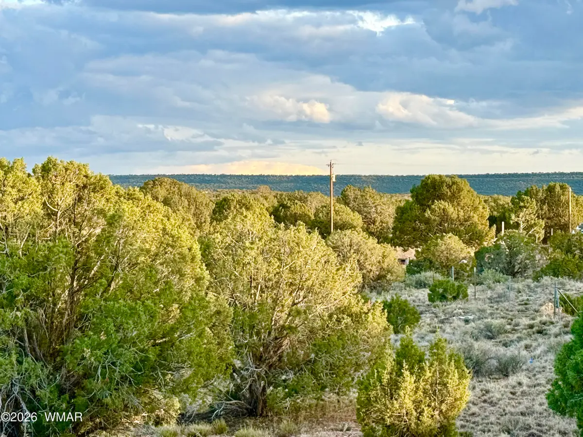 4428 Colt Road, Snowflake, AZ 85937 - #1