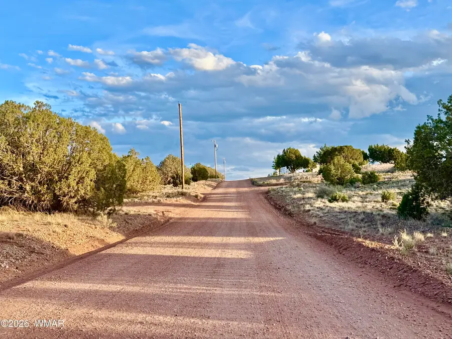 4428 Colt Road, Snowflake, AZ 85937 - #2