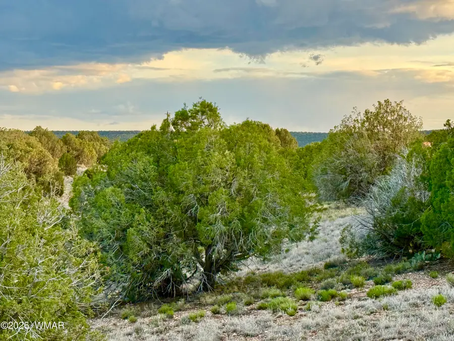 4428 Colt Road, Snowflake, AZ 85937 - #3