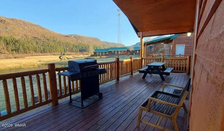 Cabin 284 Main Street, Greer, AZ 85927 - #2