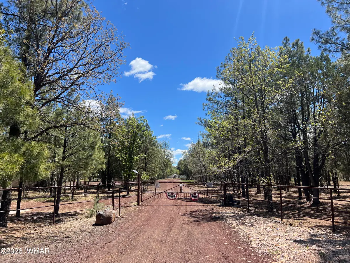1321 S Woodland Road, Lakeside, AZ 85929 - #1