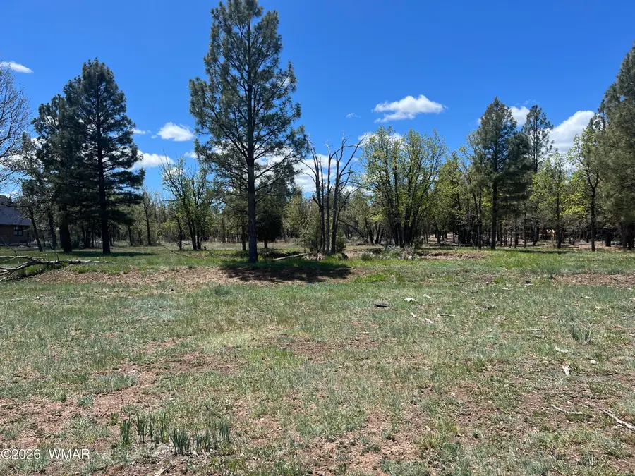 1321 S Woodland Road, Lakeside, AZ 85929 - #2