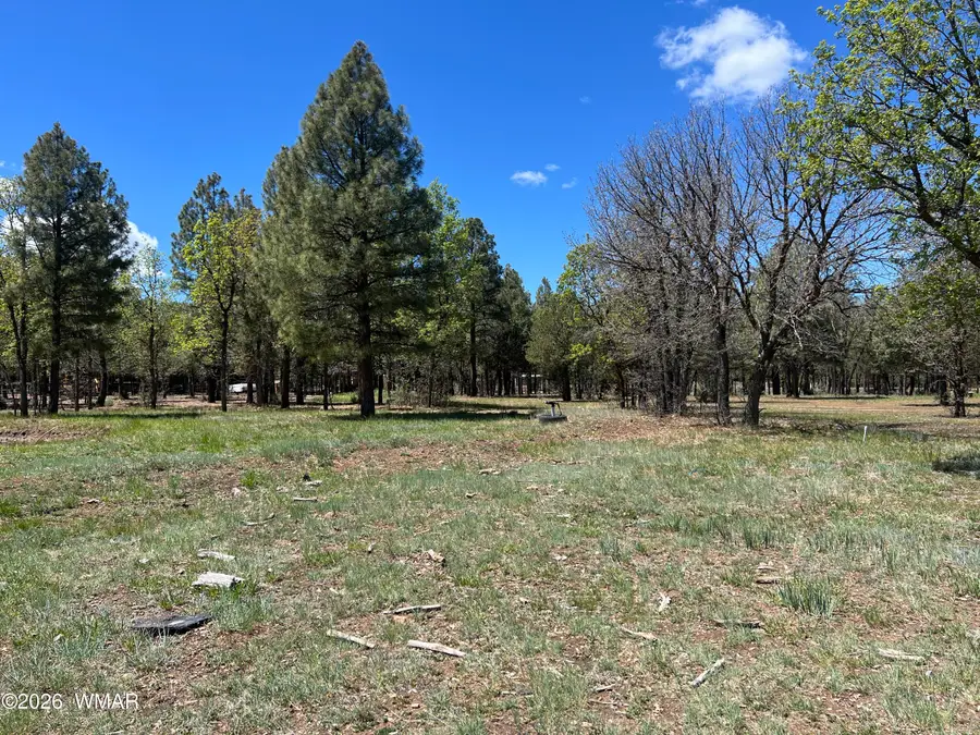 1321 S Woodland Road, Lakeside, AZ 85929 - #3