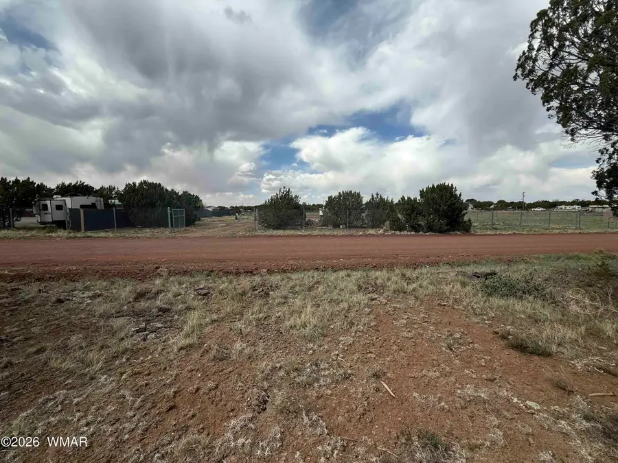 8558 Elkhorn Drive, Show Low, AZ 85901 - #2