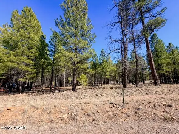 1865 Pine Canyon Drive, Happy Jack, AZ 86024