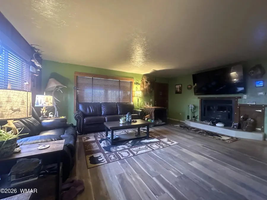 19 County Road N2056, Alpine, AZ 85920 - #2