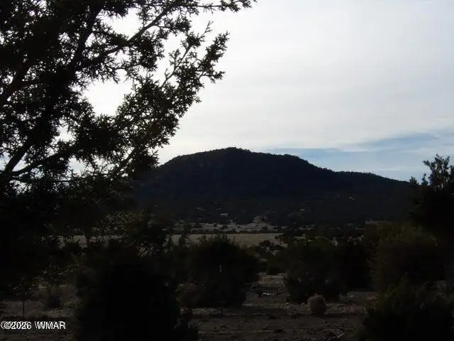 126 N3411, Vernon, AZ 85940 - #3
