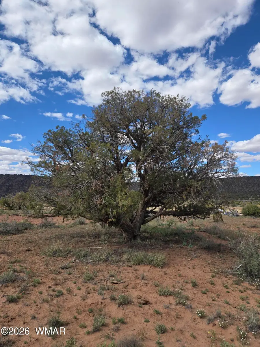 3977 Aztec Road, Snowflake, AZ 85937 - #2