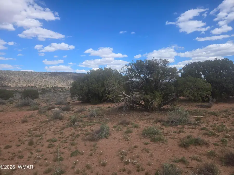 3977 Aztec Road, Snowflake, AZ 85937 - #3