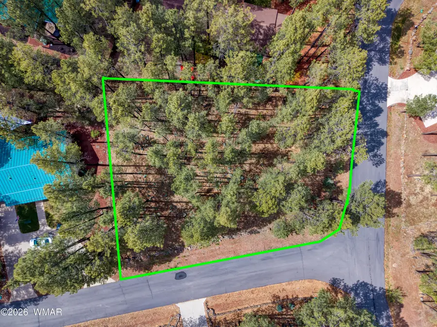 7030 Madison Ln Cir, Pinetop, AZ 85935 - #2