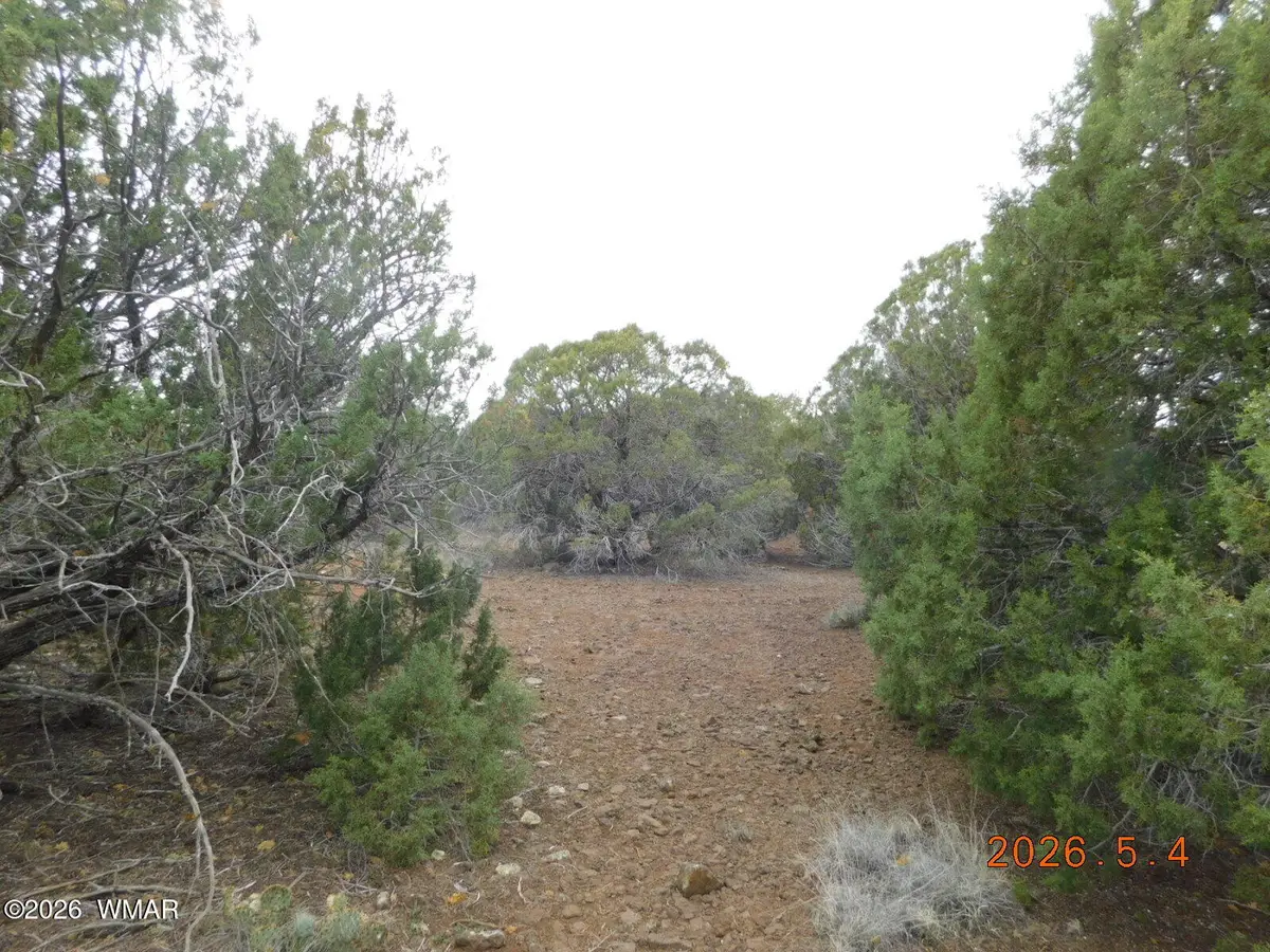 8333 Ridge Drive, Show Low, AZ 85901 - #1