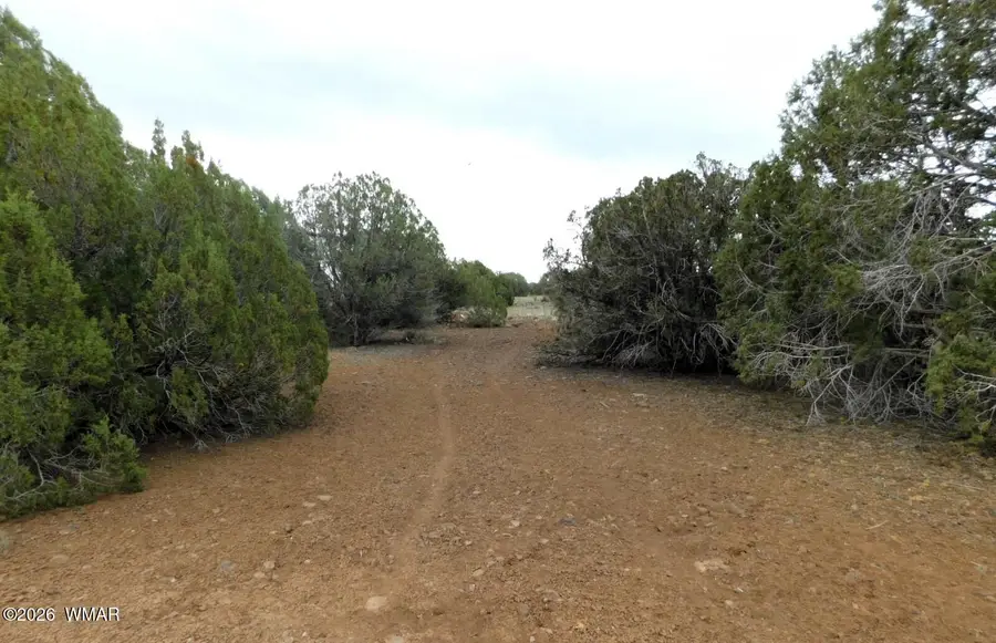 8333 Ridge Drive, Show Low, AZ 85901 - #2