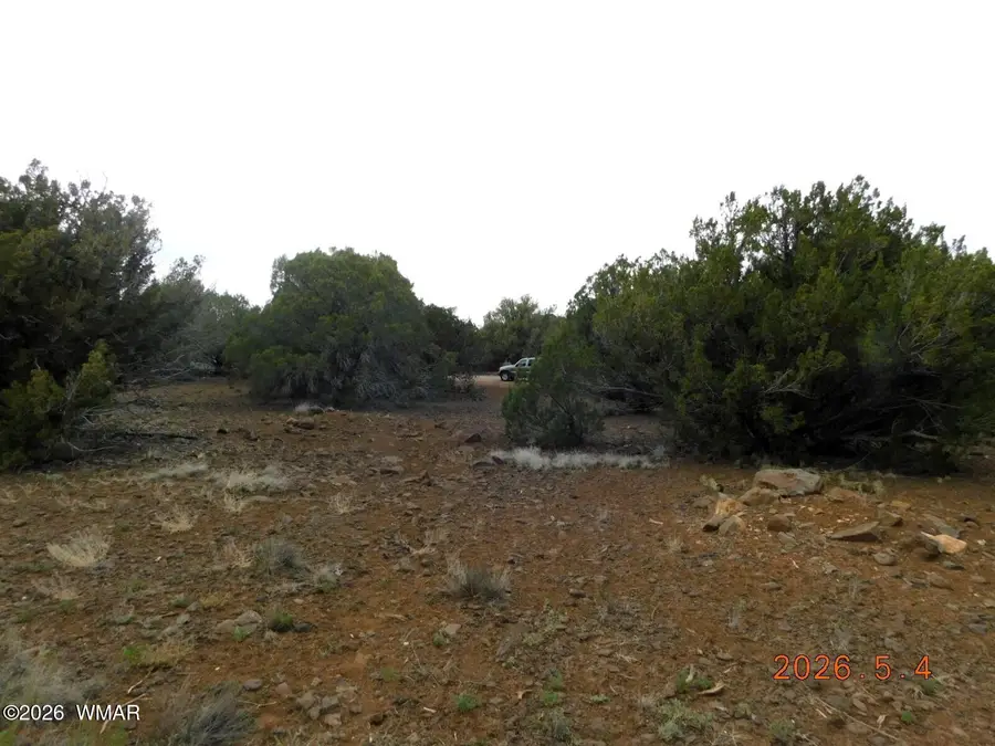 8333 Ridge Drive, Show Low, AZ 85901 - #3