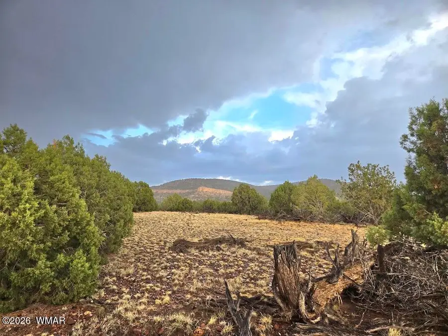 Lot 9 Pinon Valley Ranch, Concho, AZ 85924 - #3