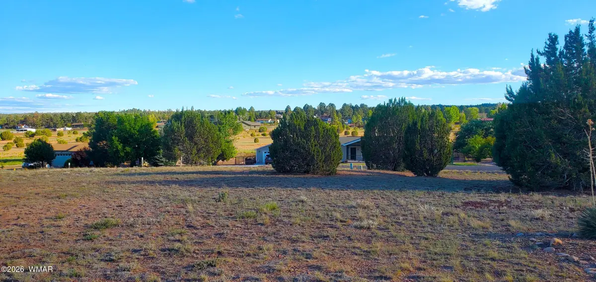 7032 Stagecoach Pass, Show Low, AZ 85901 - #1