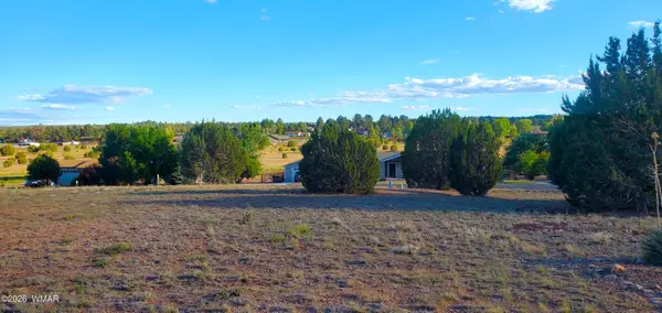7032 Stagecoach Pass, Show Low, AZ 85901