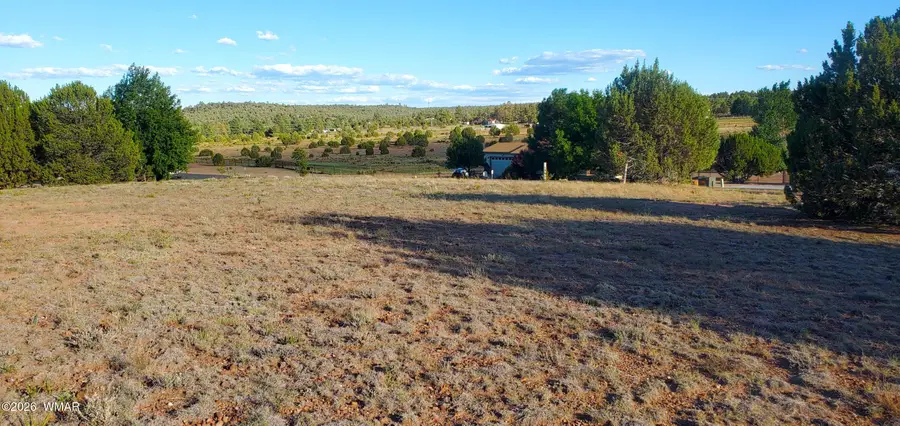 7032 Stagecoach Pass, Show Low, AZ 85901 - #2