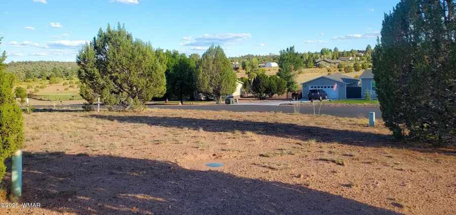 7032 Stagecoach Pass, Show Low, AZ 85901 - #3