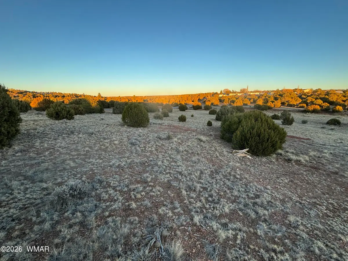 4970 Hollyhock Street, Clay Springs, AZ 85923 - #1