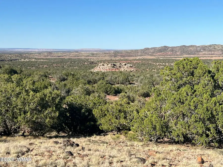 2 N8604, Concho, AZ 85924 - #2