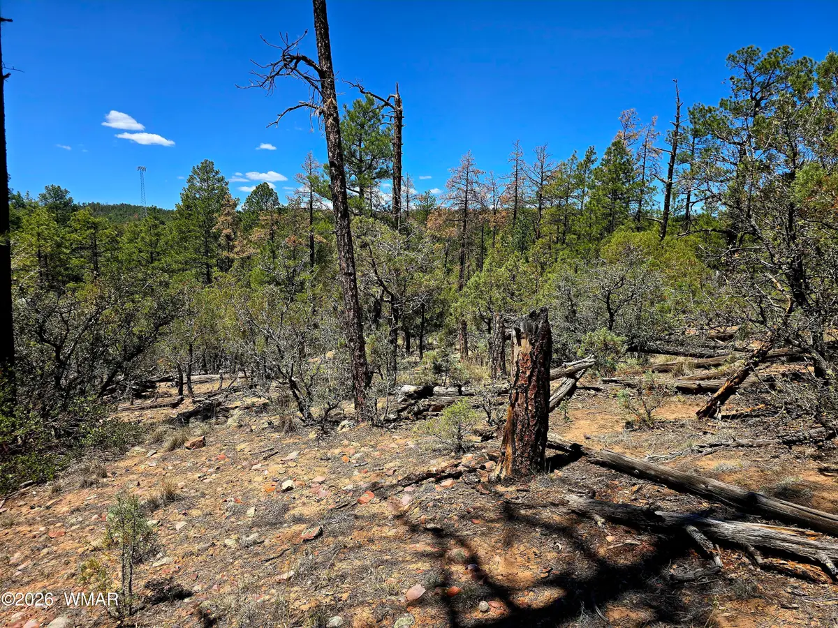 2953 S White Mountain, Show Low, AZ 85901 - #1