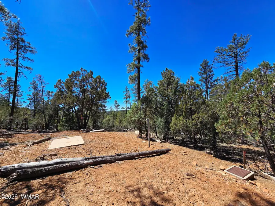 2953 S White Mountain, Show Low, AZ 85901 - #2