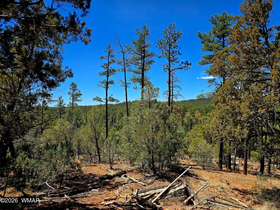 2953 S White Mountain, Show Low, AZ 85901 - #3