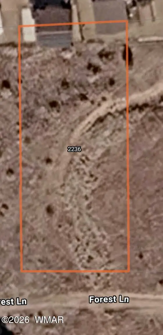 2236 Forest Lane, Overgaard, AZ 85933