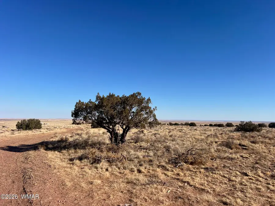 8539 Terry Trail, Snowflake, AZ 85937 - #3