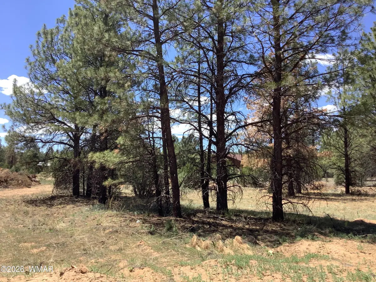 TBD Cedar Bark Trail, Overgaard, AZ 85933 - #1