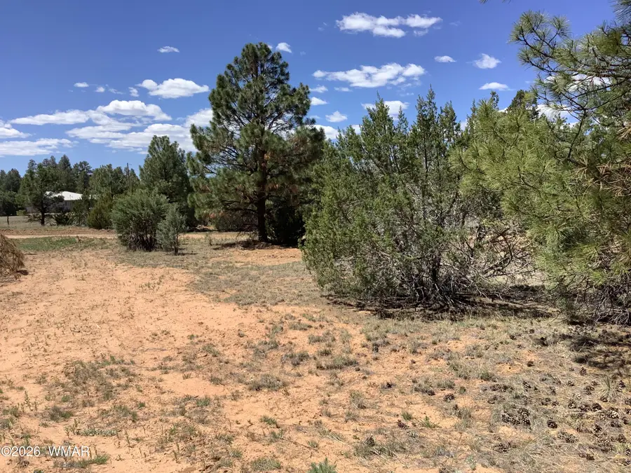 TBD Cedar Bark Trail, Overgaard, AZ 85933 - #2