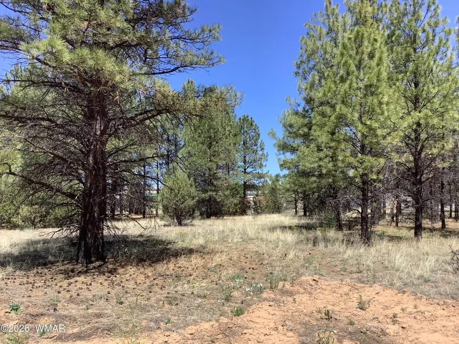 TBD Cedar Bark Trail, Overgaard, AZ 85933 - #3