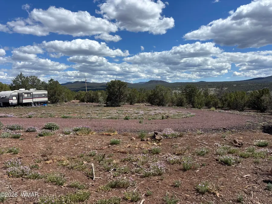 9 Cr, Vernon, AZ 85940 - #3