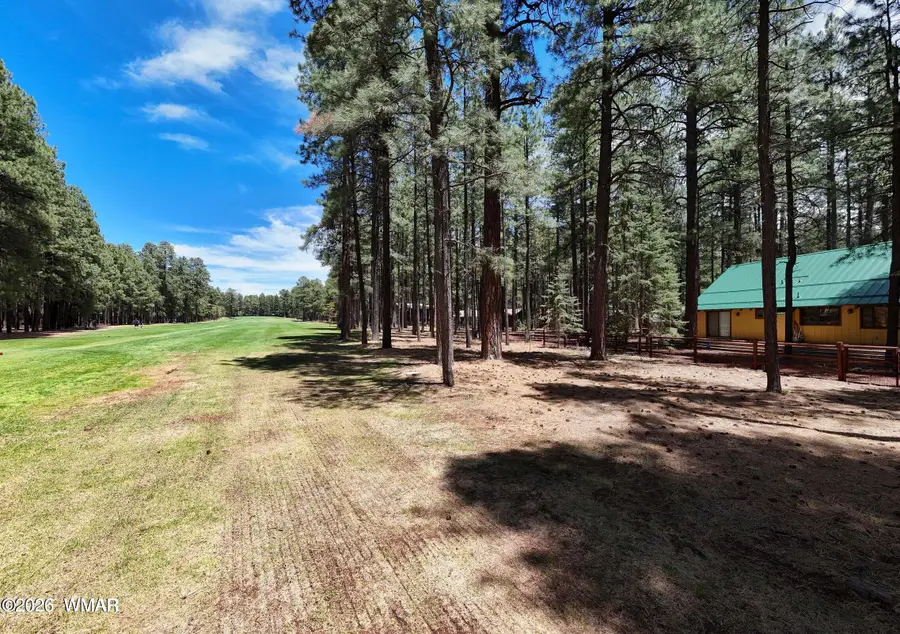 3460 Warrior Court, Pinetop, AZ 85935 - #2