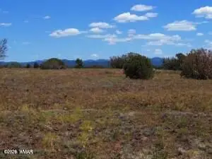 8523 Bobcat Drive, Show Low, AZ 85901 - #1