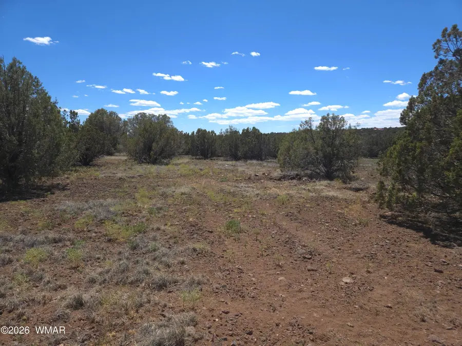 8523 Bobcat Drive, Show Low, AZ 85901 - #2