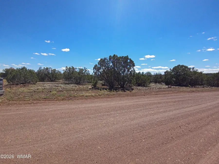 8523 Bobcat Drive, Show Low, AZ 85901 - #3