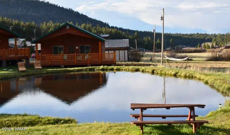 Cabin 282 Main Street, Greer, AZ 85927 - #3