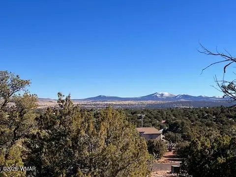Lot 002P N8689, Concho, AZ 85924 - #1