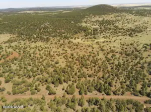 TBD N3263 Parcel 1, Vernon, AZ 85940 - #1