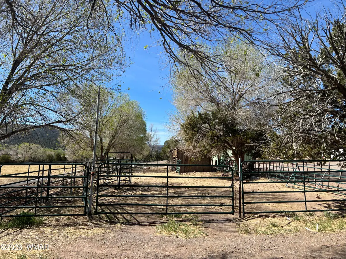 TBD S Voigt Street, Springerville, AZ 85938 - #1