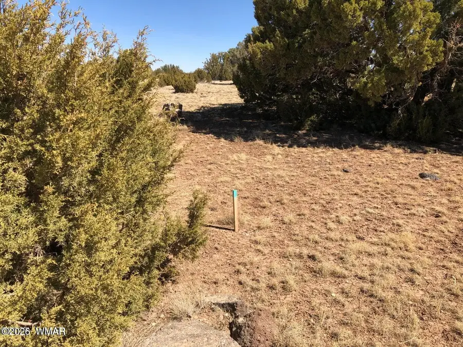 122 Spruce Street, Concho, AZ 85924 - #3
